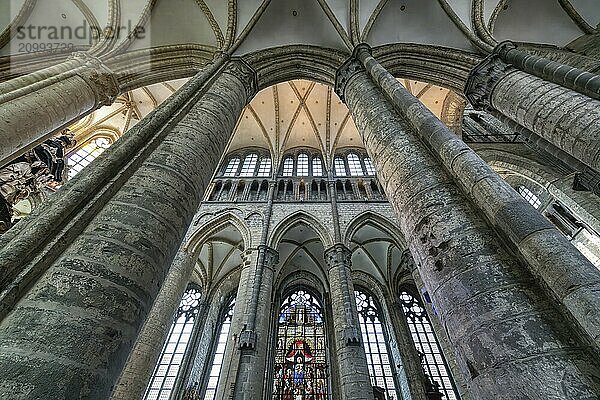 Gothic St. Nicholas Church  Vaulted ceiling and columns of the central nave  Ghent  Flanders  Belgium  Europe