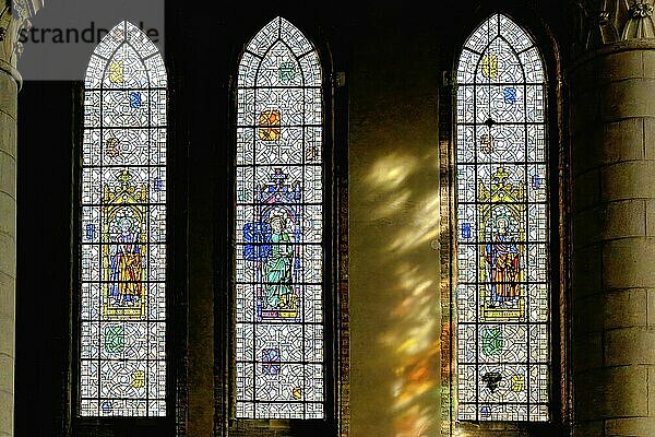 Our Lady Church  Stained-glass window  Nieuwpoort  West Flanders  Belgium  Europe