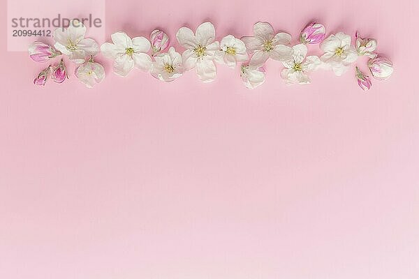 Greeting card concept flat lay on pink background with apple blossom ornament border.