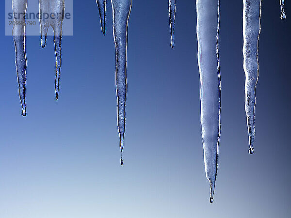 Melting icicles isolated on blue background