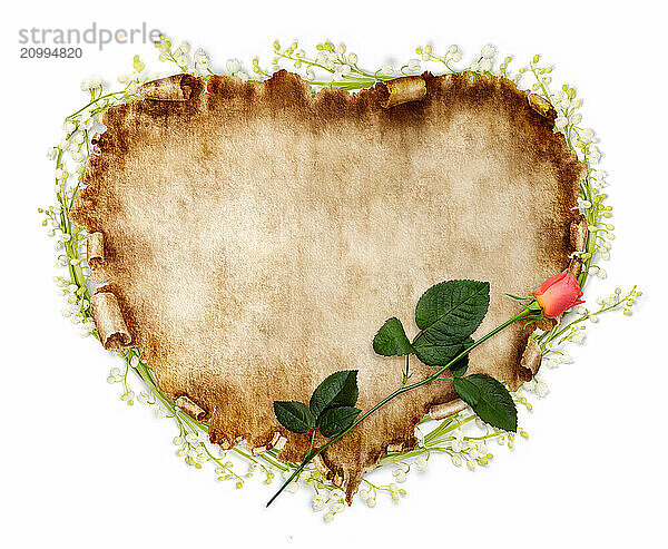 Heart-shaped vintage piece of parchment with a red rose on it. Valentines Day Card romantic love letter background isolated on white