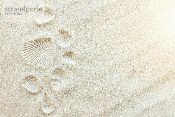 Travel  vacation concept. Sea shells on sand and blue background. Travelling  trip. Travel text.