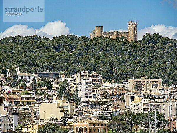 A city view with a castle on a wooded hill in the background and numerous buildings in the foreground under a sunny sky  palma de Majorca  mallorca  balearic islands  spain