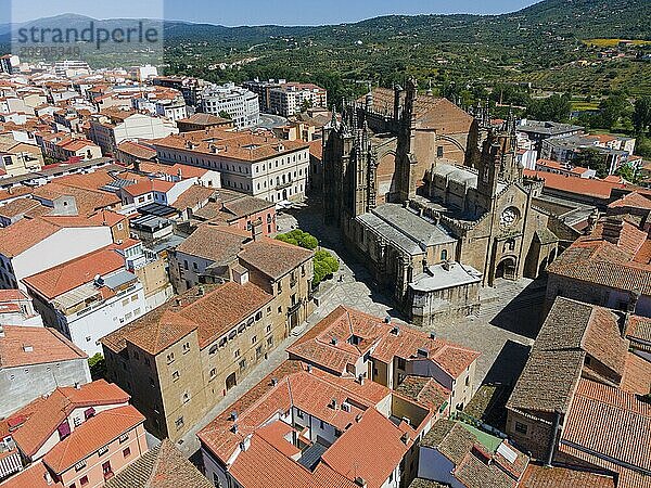 Historic city with an impressive cathedral  surrounded by narrow streets and old stone buildings with red roofs  aerial view  Romanesque and late Gothic cathedral  Plasencia  Cáceres  Caceres  Extremadura  Spain  Europe