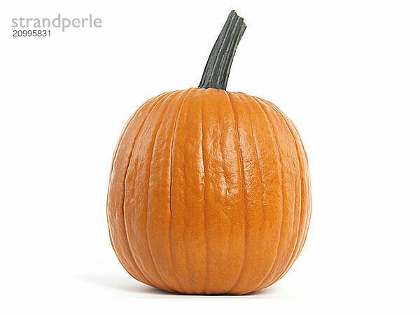 Pumpkin isolated on white background