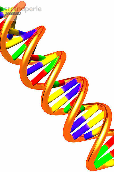 DNA molecule double helix 3D illustration isolated on white background