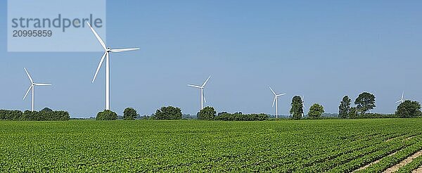 Wind turbine generators in a green field. Southern Ontario  Canada  North America