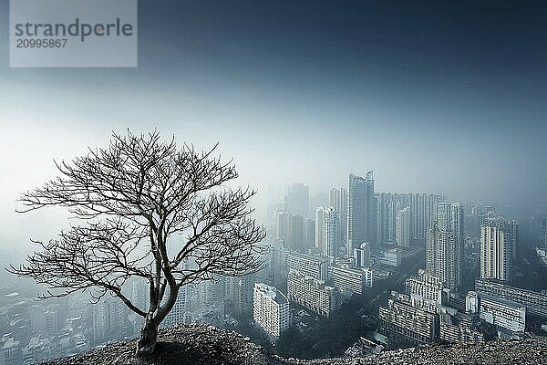 A single tree on a hill in front of a foggy cityscape with skyscrapers  smog  AI generated  AI generated