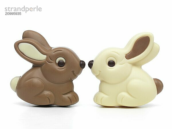 Two cute milk and white chocolate bunnies sitting nose to nose isolated on white background