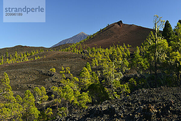 Garachico and El Teide volcanoes  view from the Arenas Negras hiking area  Tenerife  Canary Islands