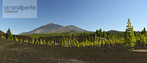 In the Arenas Negras hiking area  the view for hikers opens up again and again to the volcanoes El Teide and Viejo  Tenerife  Canary Islands  Spain  Europe