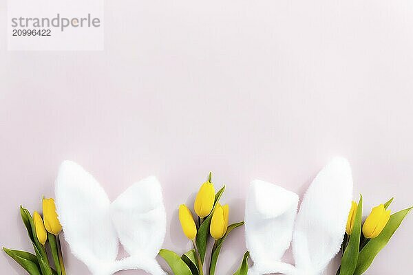 Easter concept. Flat lay with white fluffy rabbit ears  yellow tulips on a pink background.