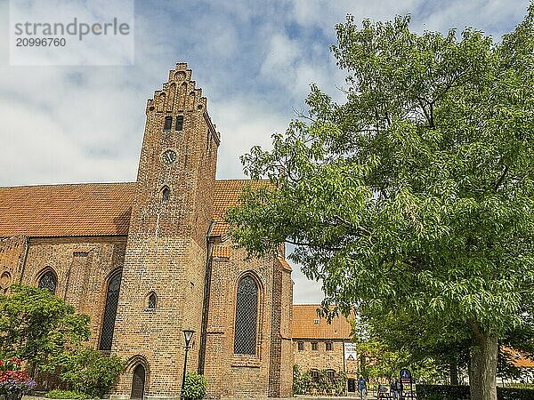 Historic brick church with tower  next to it a green tree under a blue sky  ystad  sweden  baltic sea  scandinavia