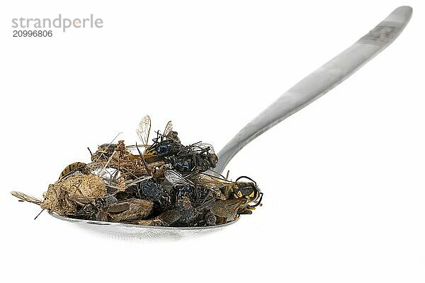 Many dead insects lie on a tablespoon  against a white background