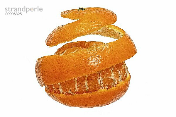 Tangerine peels off in a stripe all round against a white background