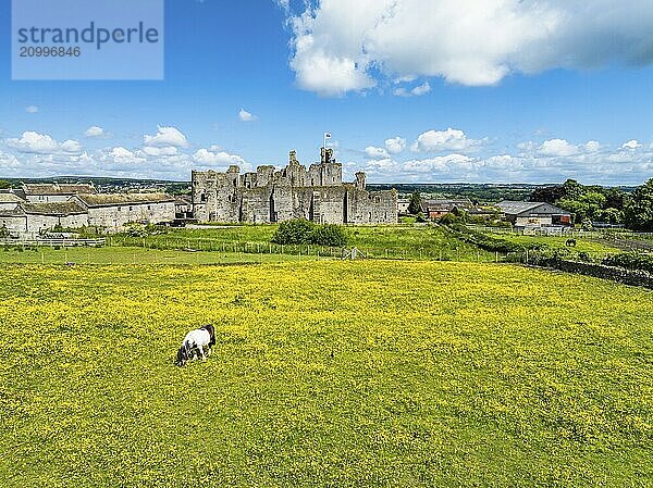 Middleham Castle from a drone  Middleham  Wensleydale  North Yorkshire  England  United Kingdom  Europe