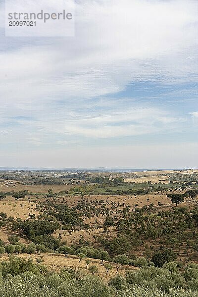 Alentejo beautiful green and brown landscape with olive and cork trees in Terena  Portugal  Europe