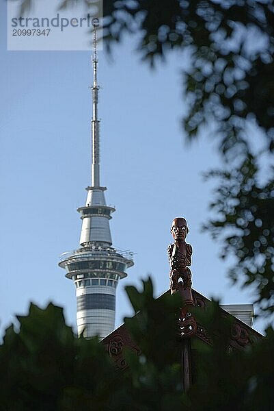 A carving of a Maori warrior stands guard over a marae while the modern Sky Tower dominates the Auckland skyline in New Zealand