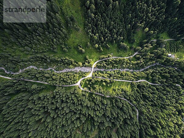 Aerial Drone view of trees from the top on a forest on the Italian Dolomites Alps in Santa Magdalena