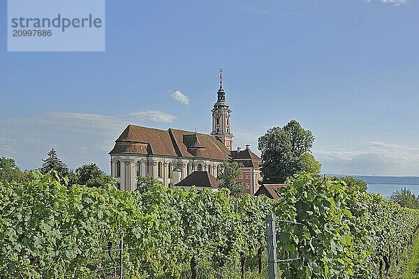 Baroque basilica with vineyards  landscape  nature  view of lake  view  pilgrimage church  Birnau  Uhldingen-Mühlhofen  Obersee  Lake Constance  Lake Constance area  Baden-Württemberg  Germany  Europe