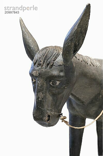 Detail of the palm donkey  donkey head  wooden figure from around 1350  on a white background  Diözesan Museum  Rottenburg  Baden-Württemberg  Germany  Europe