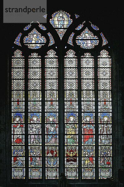 10th century Gothic St. Bavo Cathedral  Stained-Glass window  Ghent  Flanders  Belgium  Europe