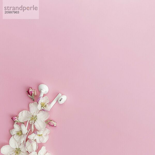 Music lover or fresh music concept flat lay on pink background with apple blossom and white earphones.