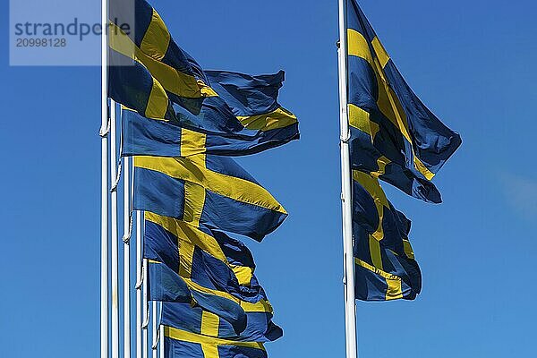 Several swedish flags flying on flagpoles