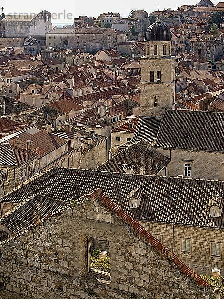 Historic city view with bell tower and numerous red tiled roofs  dubrovnik  Mediterranean Sea  Croatia  Europe