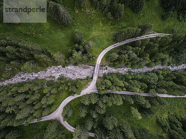 Aerial Drone view of trees from the top on a forest on the Italian Dolomites Alps in Santa Magdalena