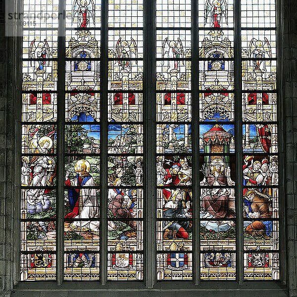 10th century Gothic St. Bavo Cathedral  Stained-Glass window  Ghent  Flanders  Belgium  Europe