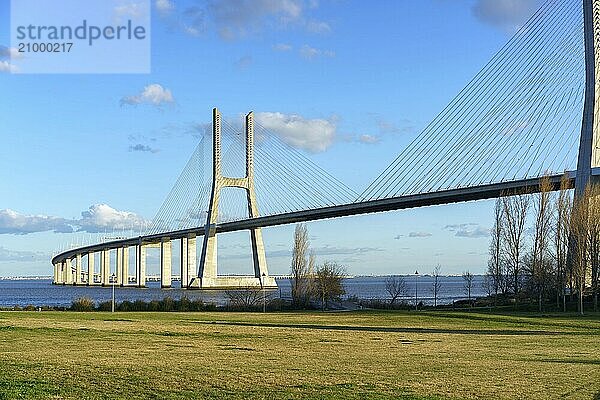 Ponte Vasco da Gama Bridge view from a garden park during the day