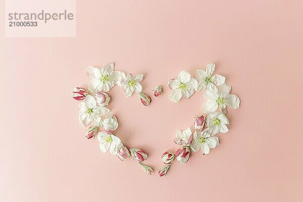 Greeting card concept flat lay on pink background with apple blossom heart shape ornament border.