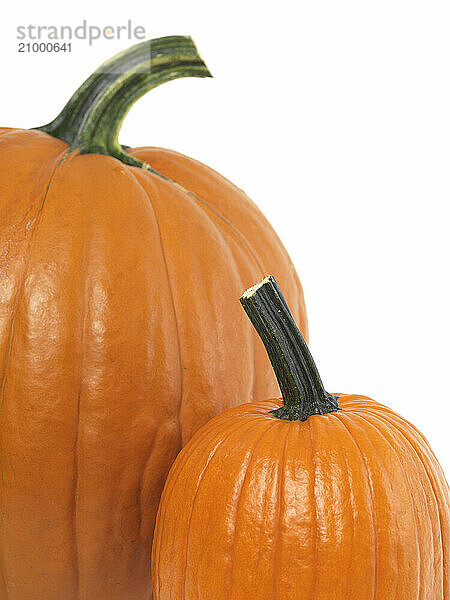 Closeup of a pumpkin isolated on white background