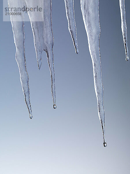 Melting icicles isolated on light blue background