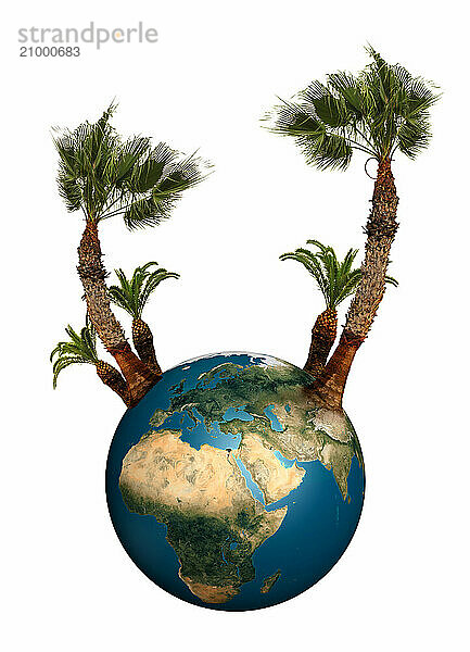 The Earth globe with palm trees growing from it isolated on white