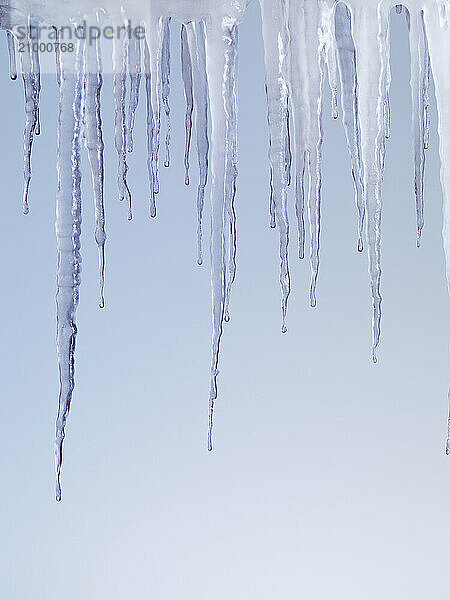 Melting icicles isolated on light blue background