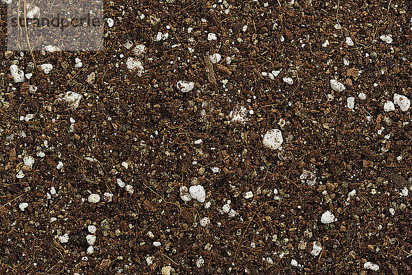 Germination media or soilless growing potting mix of coconut coir  vermiculite and perlite  used in horticulture and gardening instead of soil. Closeup of an isolated cone pile on white studio background