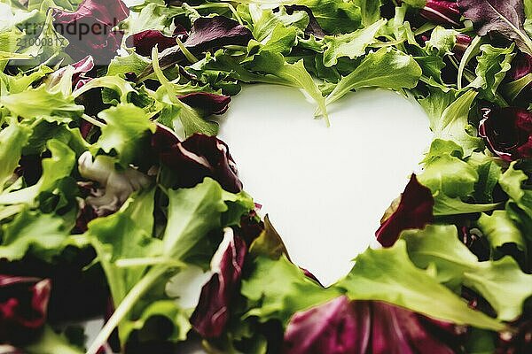 Heart shape from green and purple salad leafs mix background. White table.