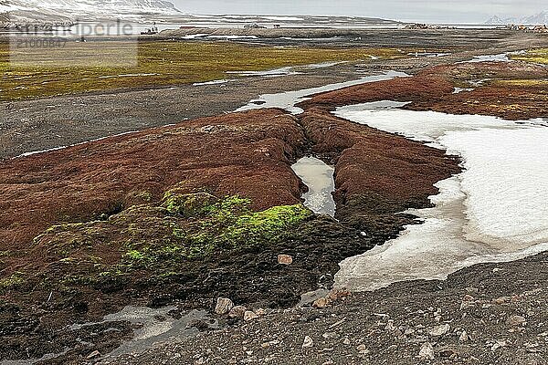 Colored land into the tundra in Ny Alesund  Svalbard islands  Norway  Europe