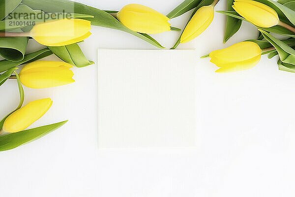 Flat lay with yellow tulip flowers and empty picture frame on white background. Greeting card design for Easter  Mothers day  International womens day or Saint Valentines day