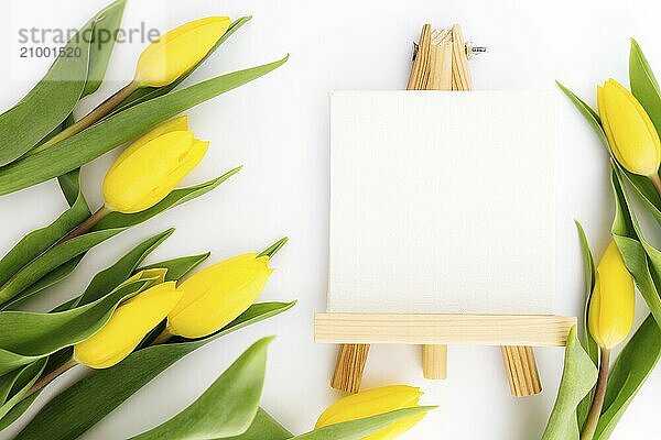 Flat lay with yellow tulip flowers and empty picture frame on white background. Greeting card design for Easter  Mothers day  International womens day or Saint Valentines day