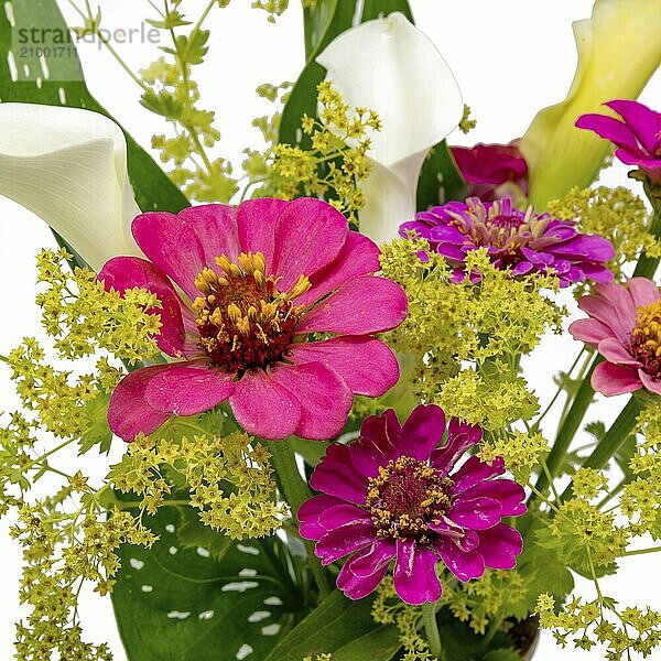 Bouquet of calla lilies  zinnia and lady's mantle cropped on white