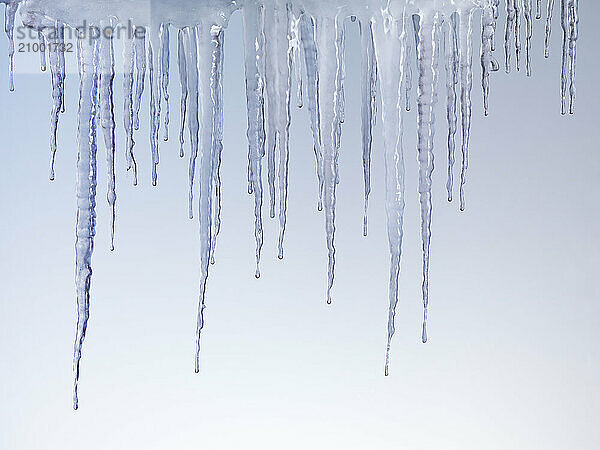 Melting icicles isolated on light blue background