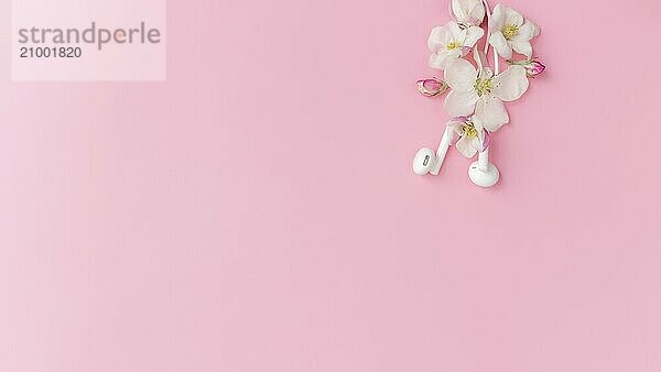 Music lover or fresh music concept flat lay on pink background with apple blossom and white earphones.