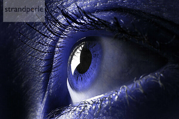 Female eye macro photography in blue colors. Eyesight vision biometrics concept in low key