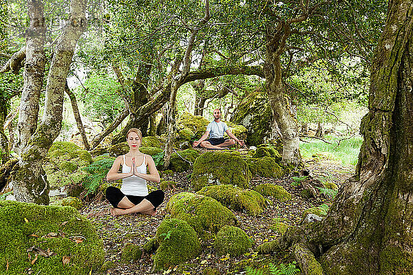 Woman and man meditating cross-legged in a forest