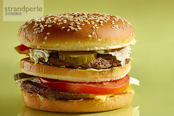 Hamburger isolated on light green background