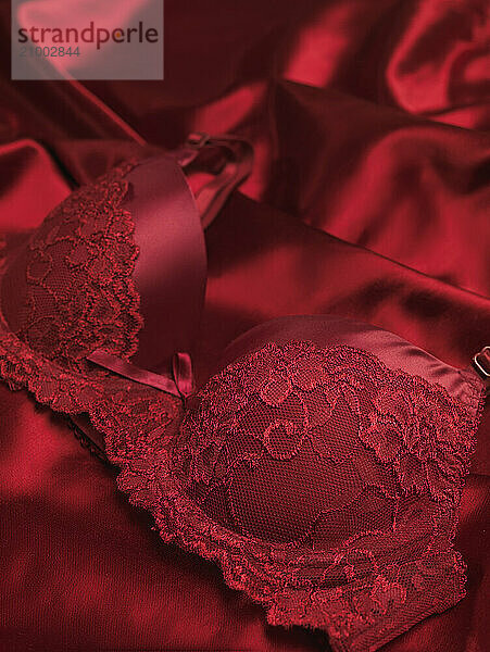 Red lacy bra on shiny silky fabric