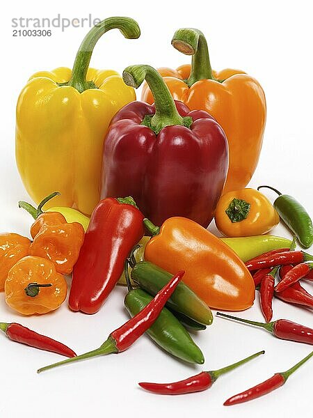 Variety of sweet red  yellow  orange peppers  Jalapeno  Cubanelle  Thai peppers  Scotch Bonnet pepper  mini sweet peppers. Food still life isolated on white background